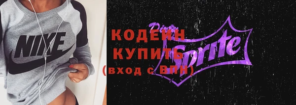 гашик Гусь-Хрустальный