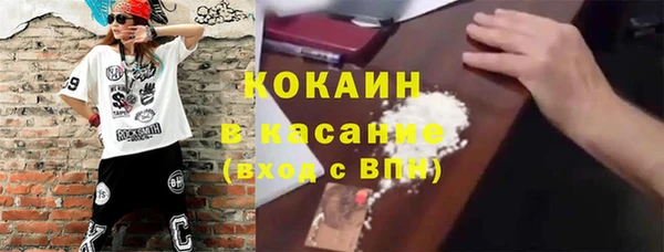гашик Гусь-Хрустальный