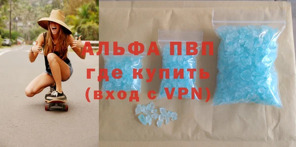 гашик Гусь-Хрустальный
