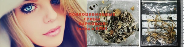 мдма Гусев