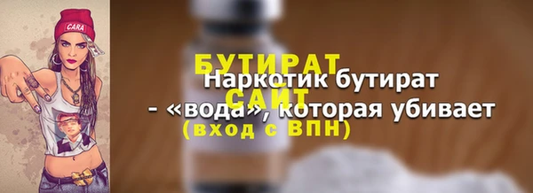 гашик Гусь-Хрустальный