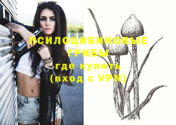 гашик Гусь-Хрустальный