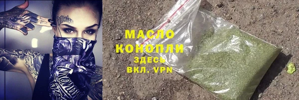 гашик Гусь-Хрустальный