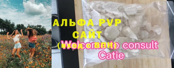 гашик Гусь-Хрустальный
