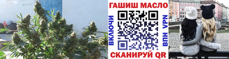 Купить закладки  Киселёвск  ТГК концентрат 