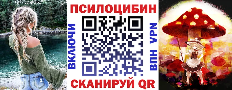 Псилоцибиновые грибы Psilocybine cubensis  Купить  Киселёвск 