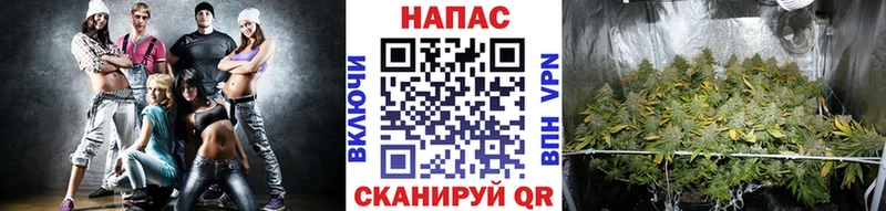 Купить где  Киселёвск  Бошки Шишки конопля 